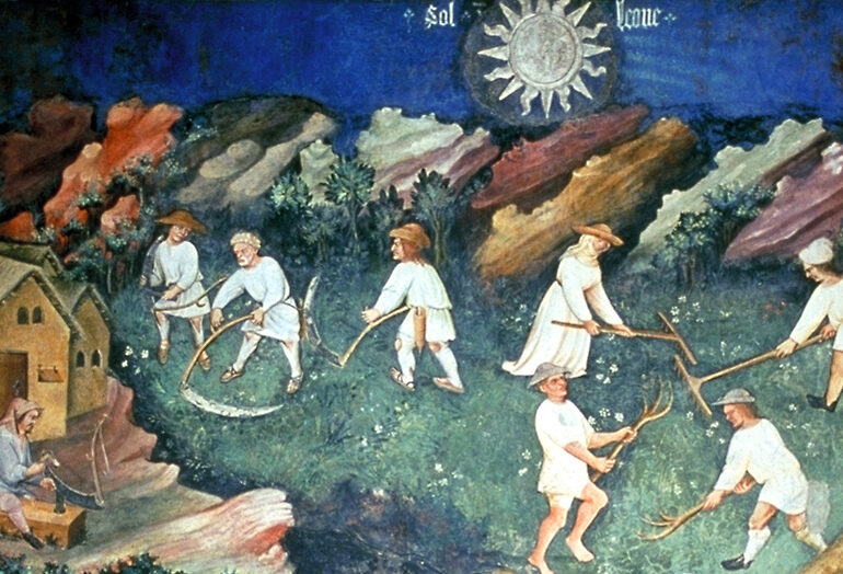 Historische Holzartenauswahl in Österreich