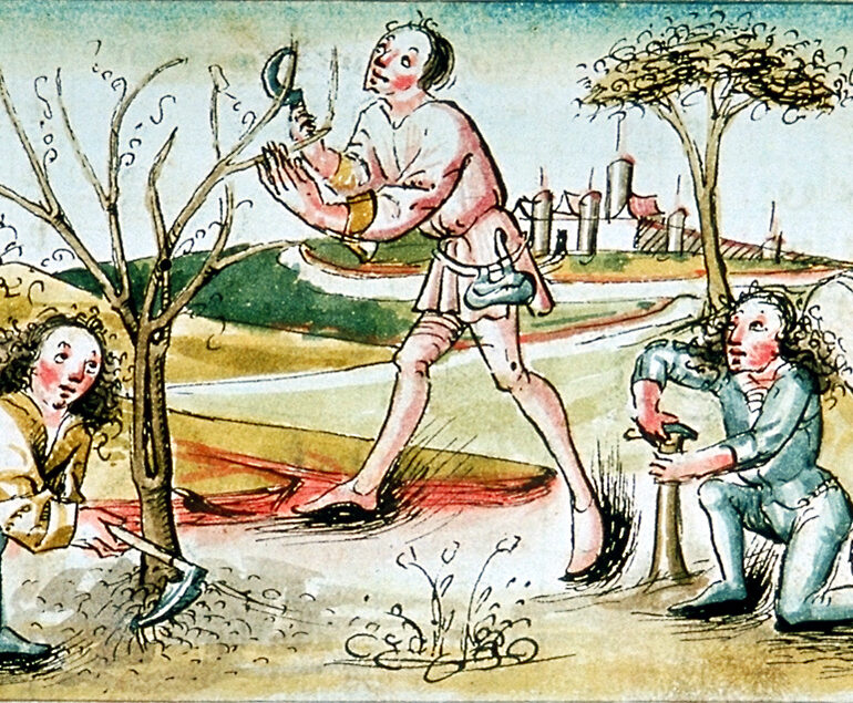 Sorge um Wald und Bäume als Kerngeschäft vormoderner Politik und Verwaltung