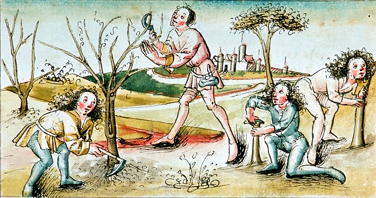 Baumpflege, Holzernte